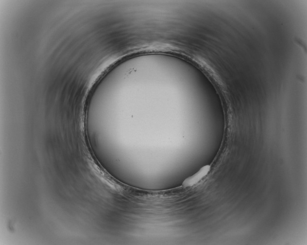 X0000099441232200805231709