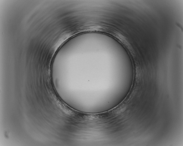 X0000099441234200805231709