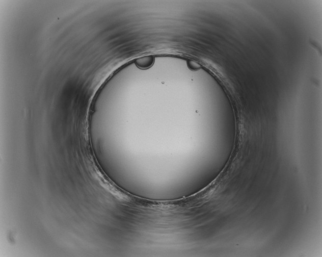 X0000099441236200805231709