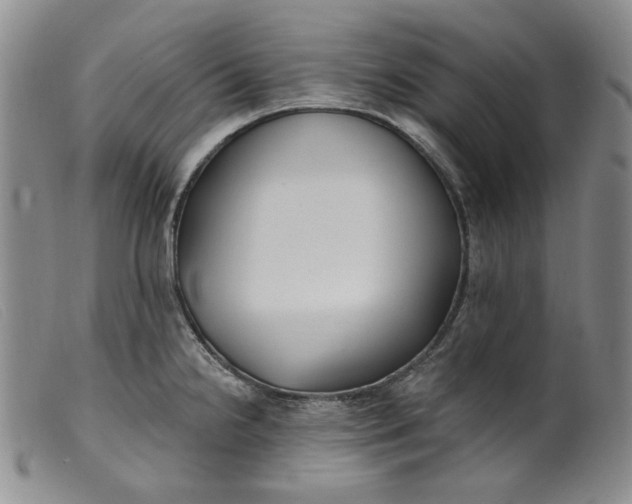 X0000099441238200805231709
