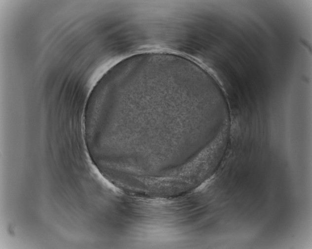 X0000099441239200805231709