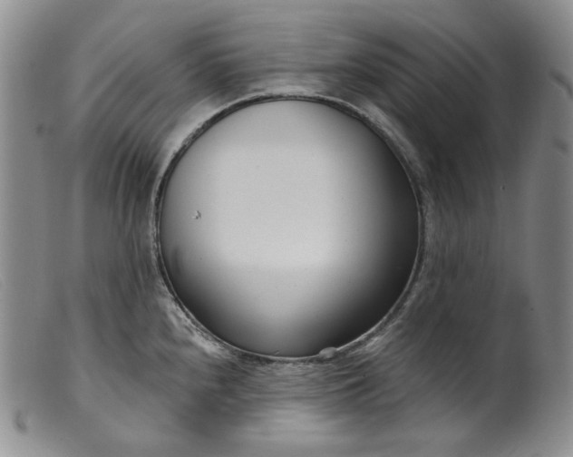 X0000099441240200805231709