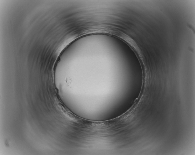 X0000099441242200805231709