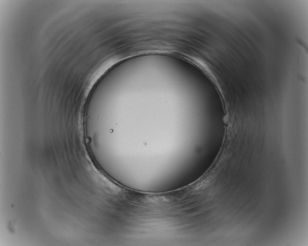 X0000099441243200805231709