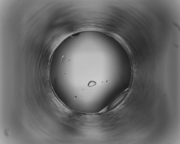 X0000099441244200805231709