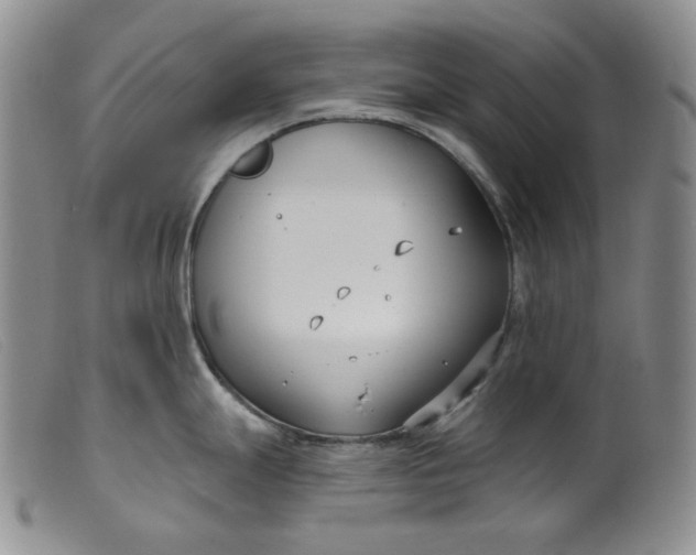 X0000099441247200805231710