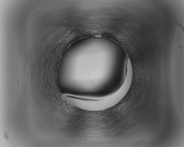 X0000099441249200805231709