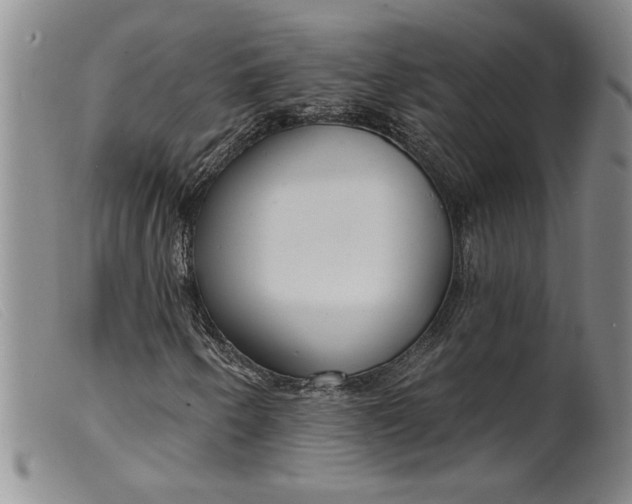 X0000099441250200805231709