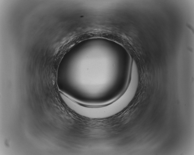 X0000099441253200805231709