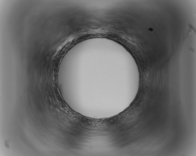 X0000099441254200805231709