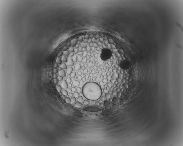 X0000099441255200805231709
