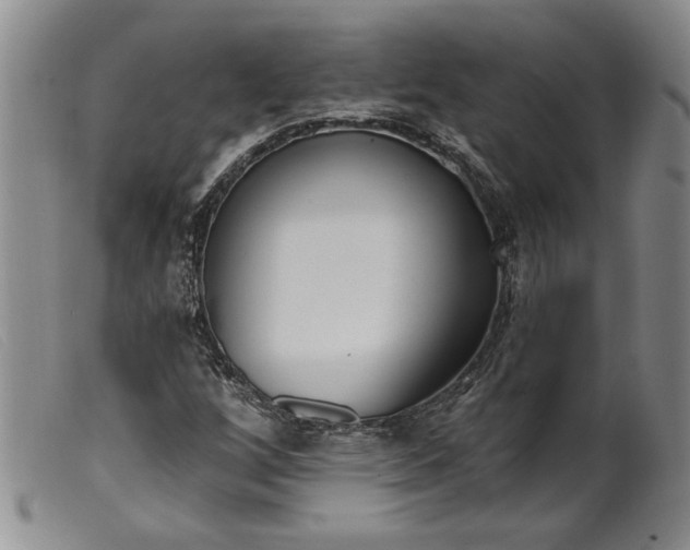X0000099441256200805231709