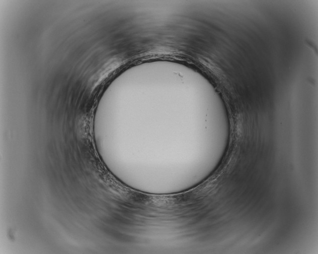 X0000099441258200805231709