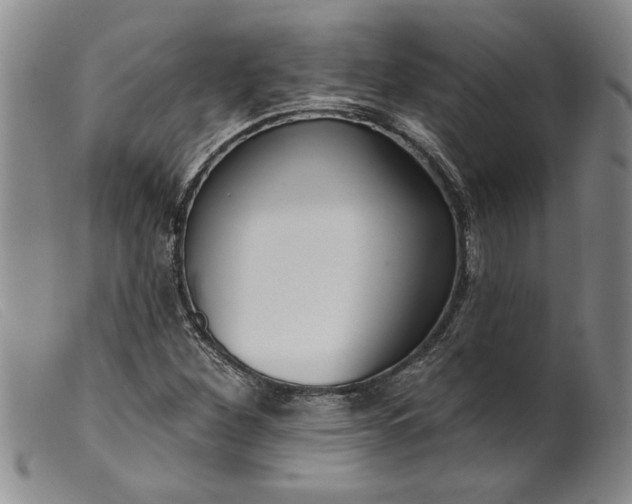 X0000099441260200805231709
