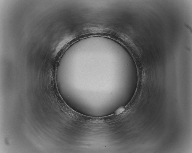 X0000099441261200805231709