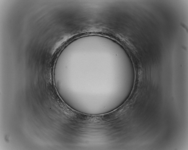X0000099441262200805231709