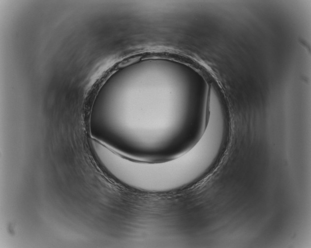 X0000099441263200805231709