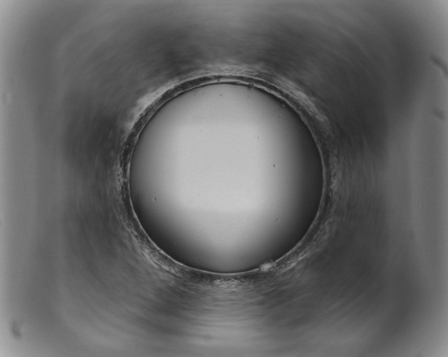 X0000099441264200805231709
