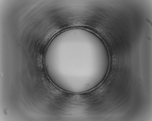 X0000099441265200805231709
