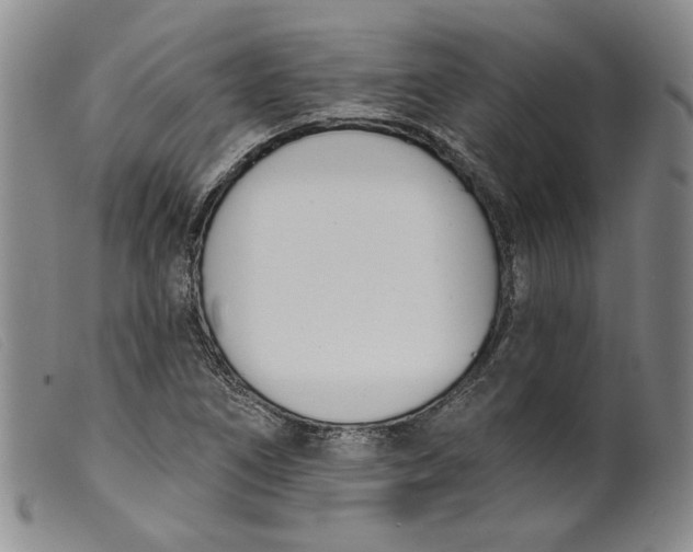 X0000099441266200805231709