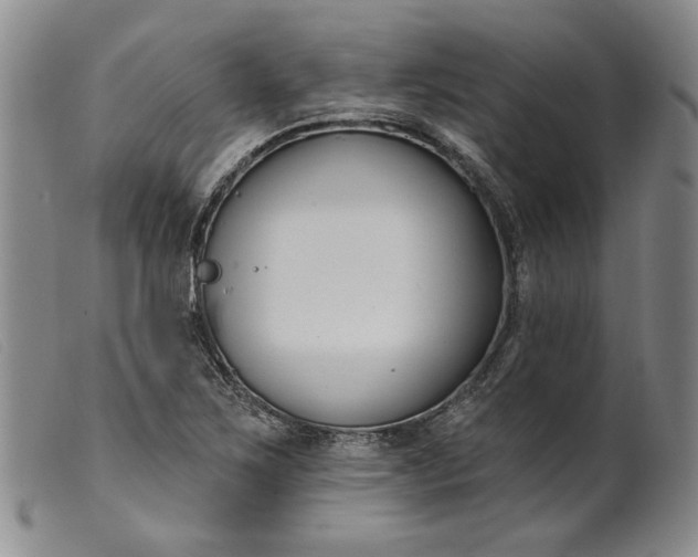 X0000099441267200805231709