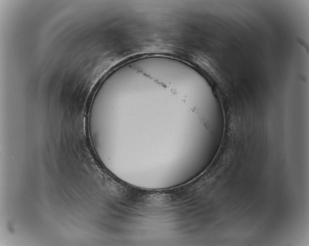 X0000099441268200805231709
