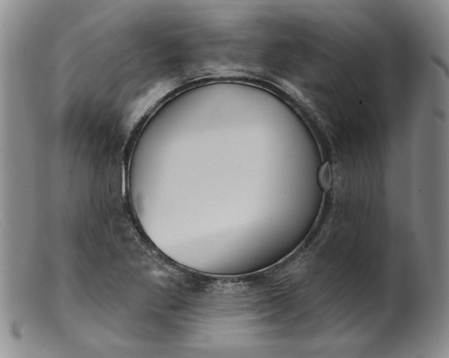 X0000099441269200805231709