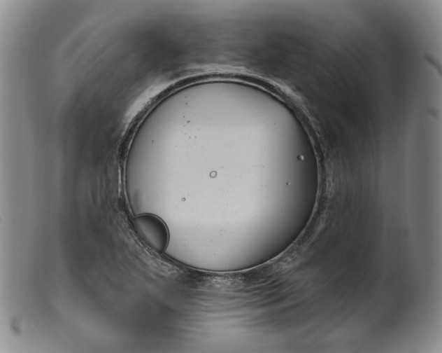 X0000099441271200805231709