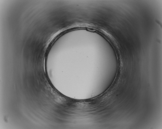 X0000099441272200805231709