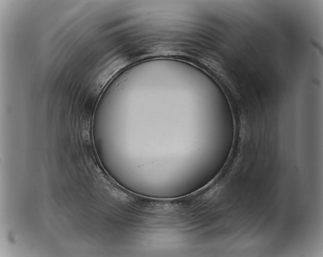 X0000099441273200805231709
