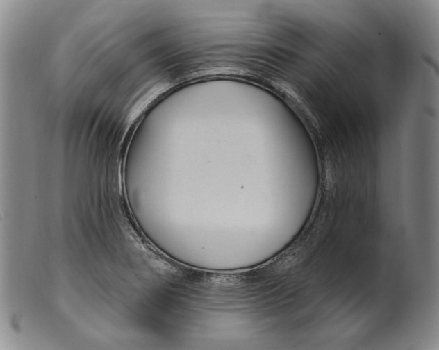 X0000099441274200805231709