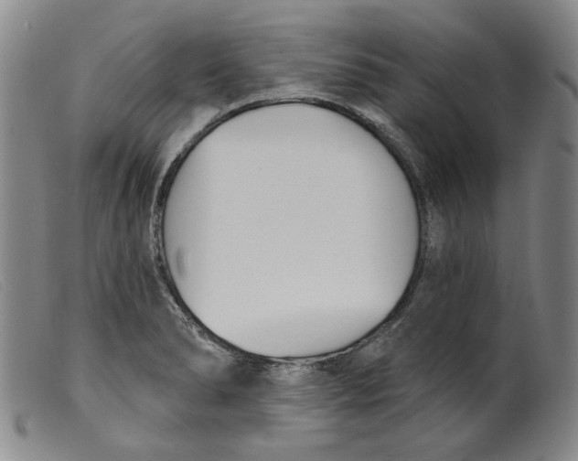X0000099441278200805231708