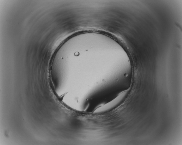 X0000099441279200805231708