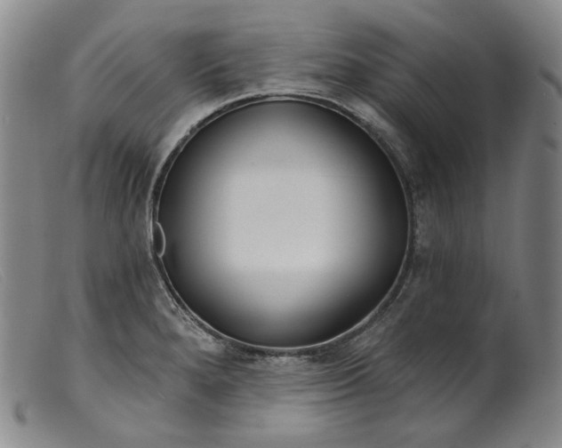 X0000099441280200805231708