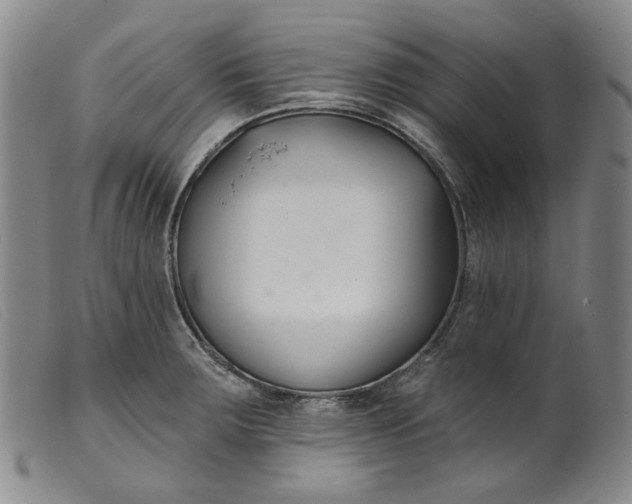 X0000099441283200805231708
