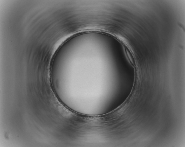 X0000099441288200805231708