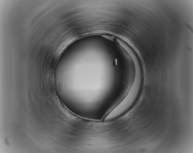 X0000099441289200805231708