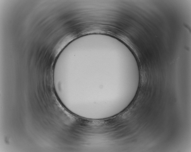 X0000099441290200805231708