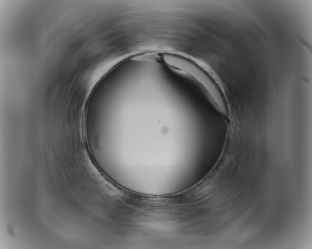 X0000099441295200805231708