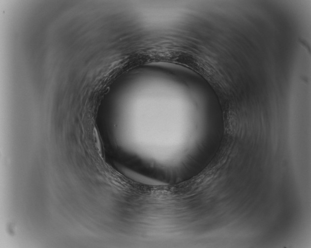 X0000099441297200805231707
