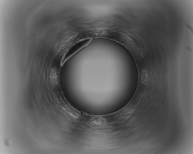X0000099441298200805231707