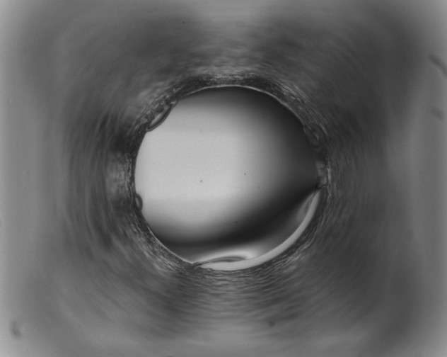 X0000099441300200805231707