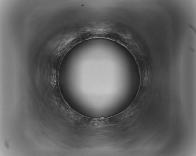 X0000099441301200805231707