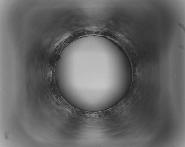 X0000099441302200805231707