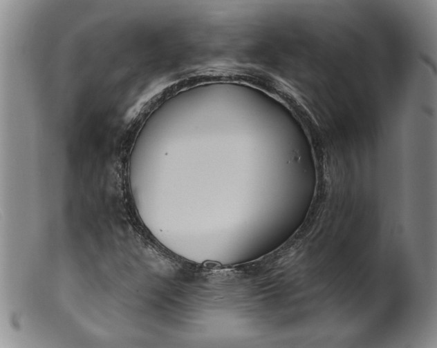 X0000099441304200805231707