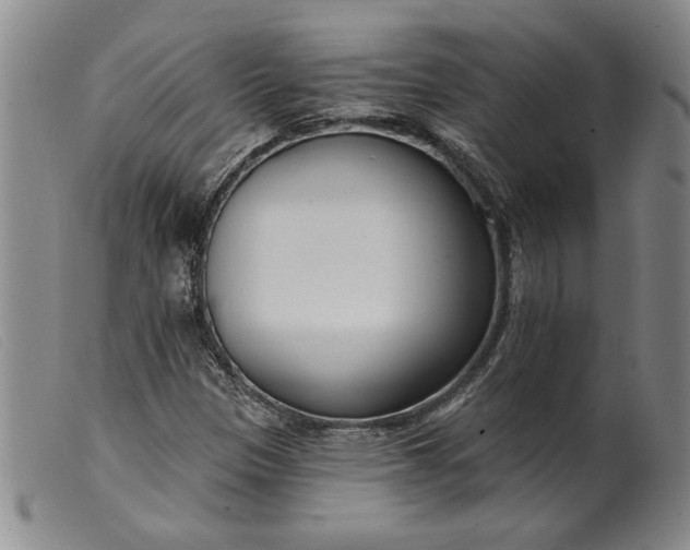 X0000099441305200805231707