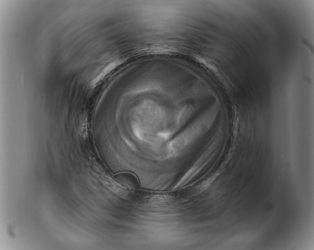 X0000099441306200805231707