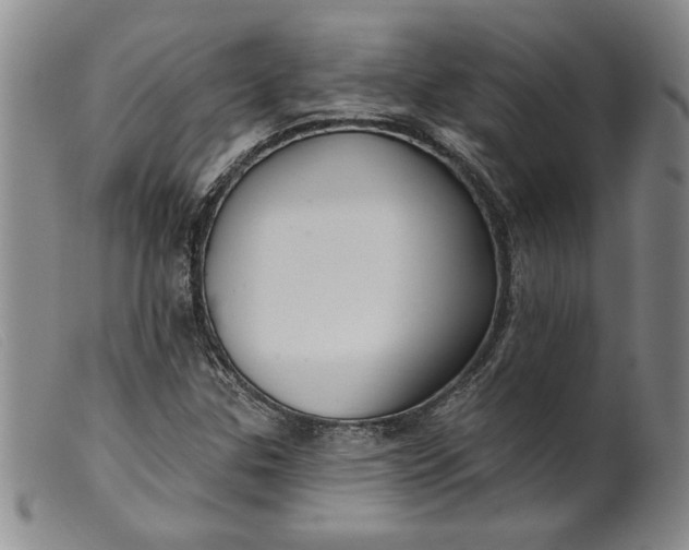 X0000099441307200805231708