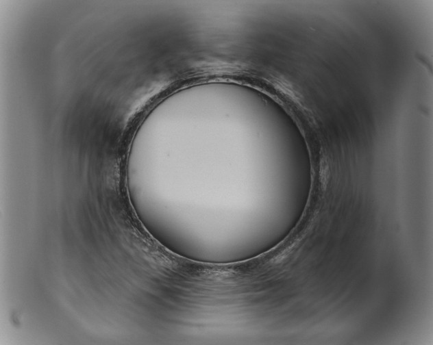 X0000099441309200805231708