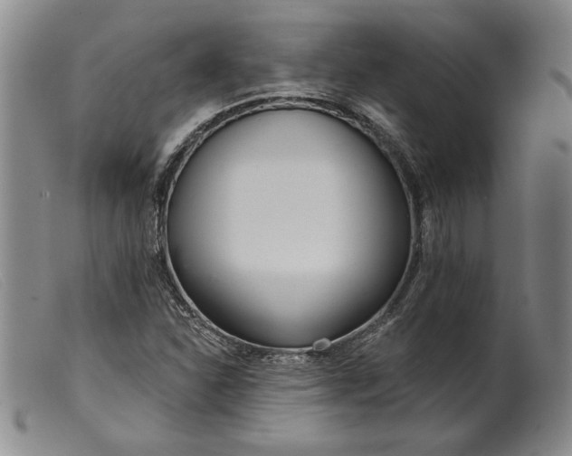 X0000099441310200805231708